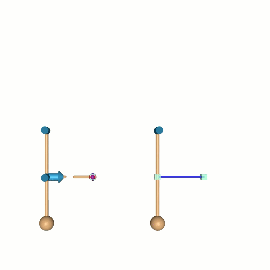 _images/tendon_armature.gif